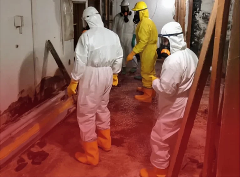 PPE-suited remediation crew in mold-damaged corridor