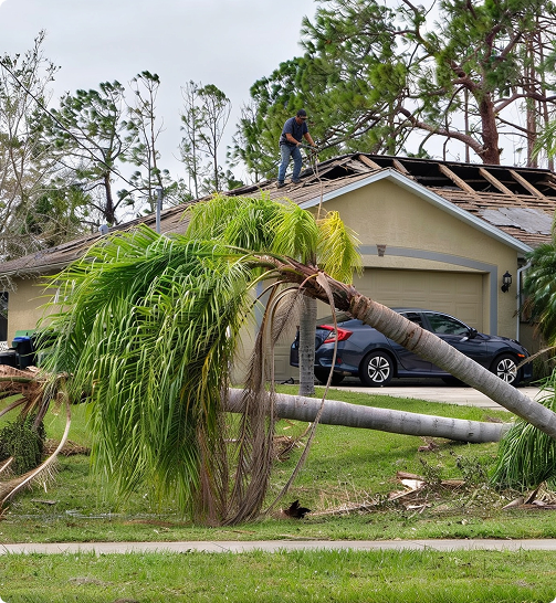 Our Hurricane and Storm Damage Restoration Services
